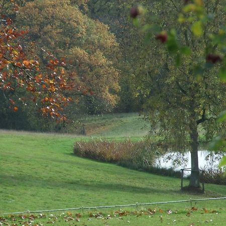 Woodlands Bed & Breakfast Barnt Green Esterno foto