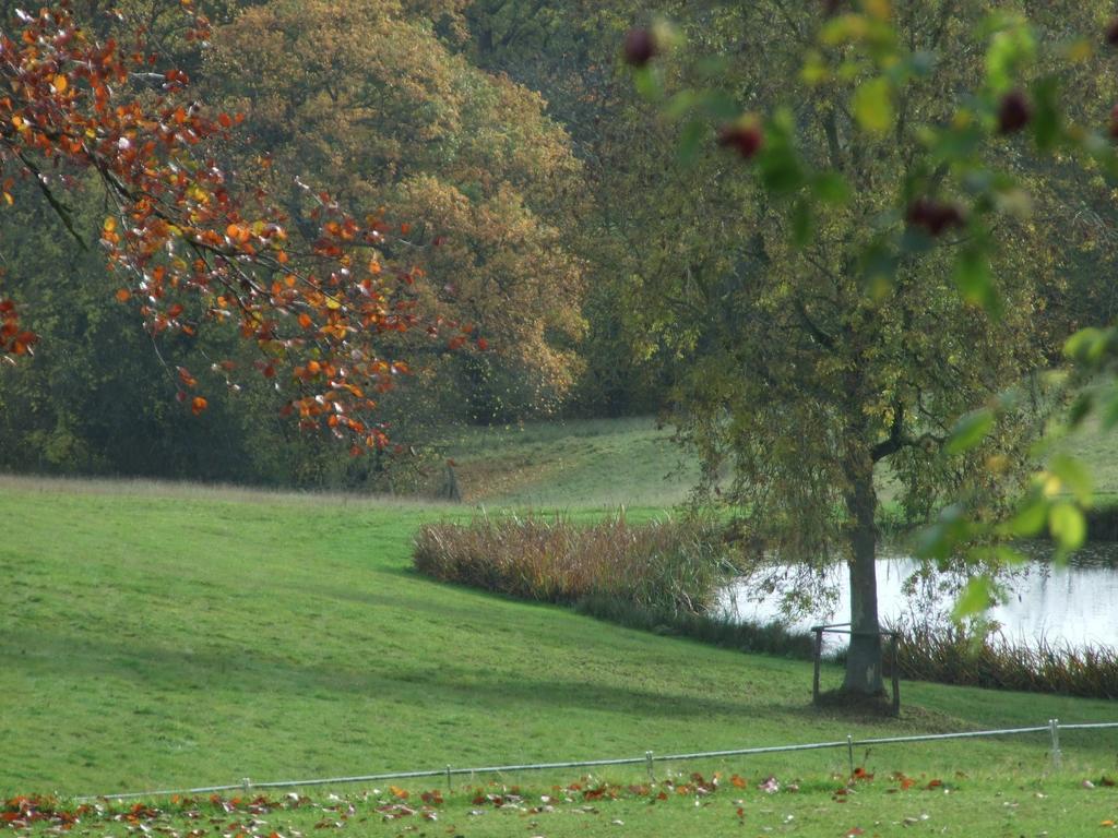 Woodlands Bed & Breakfast Barnt Green Esterno foto